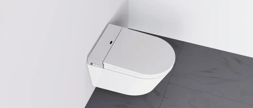 Därför måste din nästa toalett vara en duschtoalett